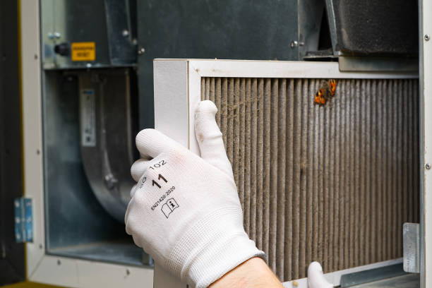 Best Air Vent Cleaning Services  in Melrose, MA